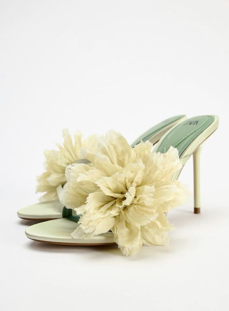 Zara Shoe