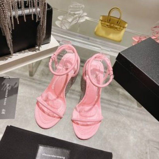 Alexandwr Wang Shoe