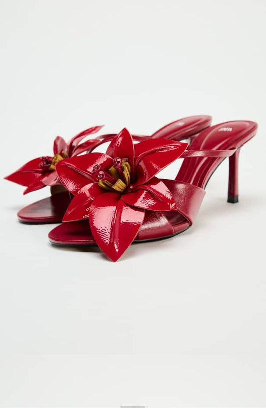 Zara Shoe